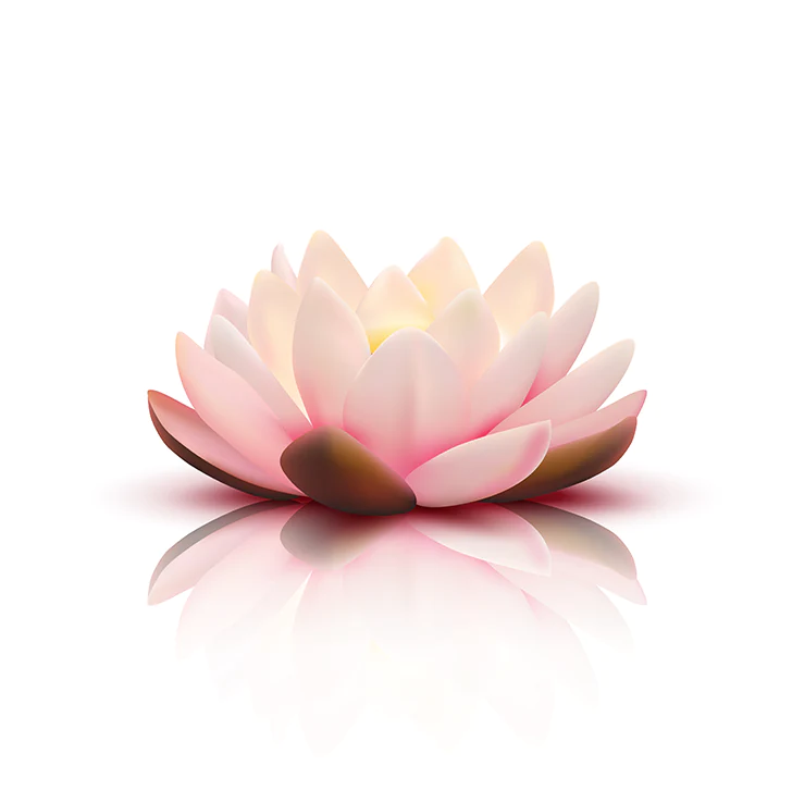 Image Fleur Lotus
